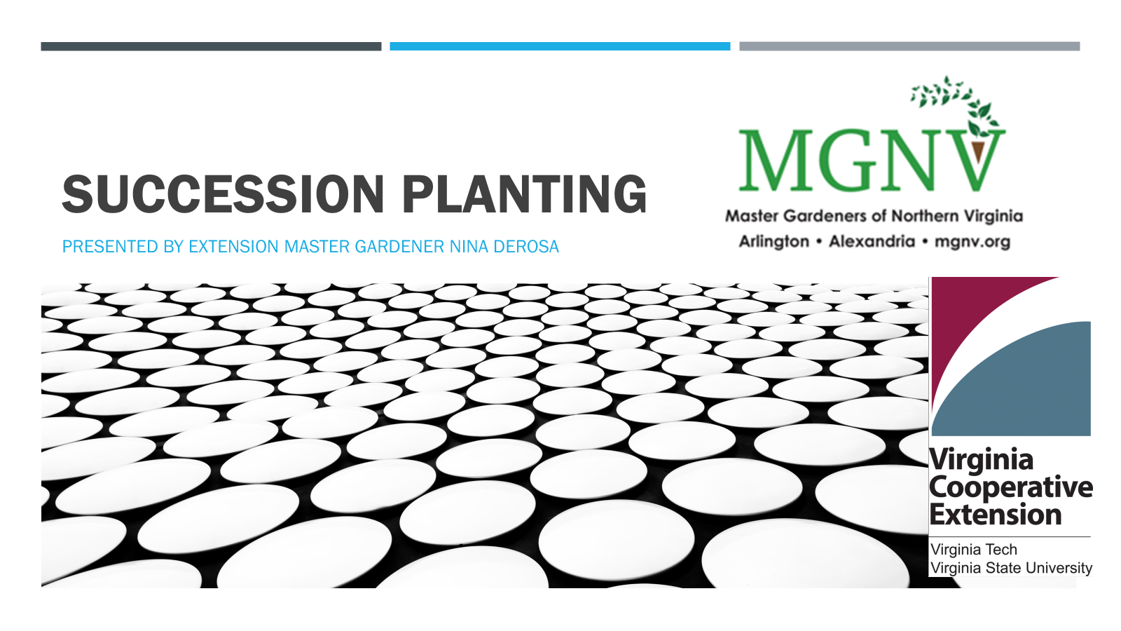 succession planting cover slide