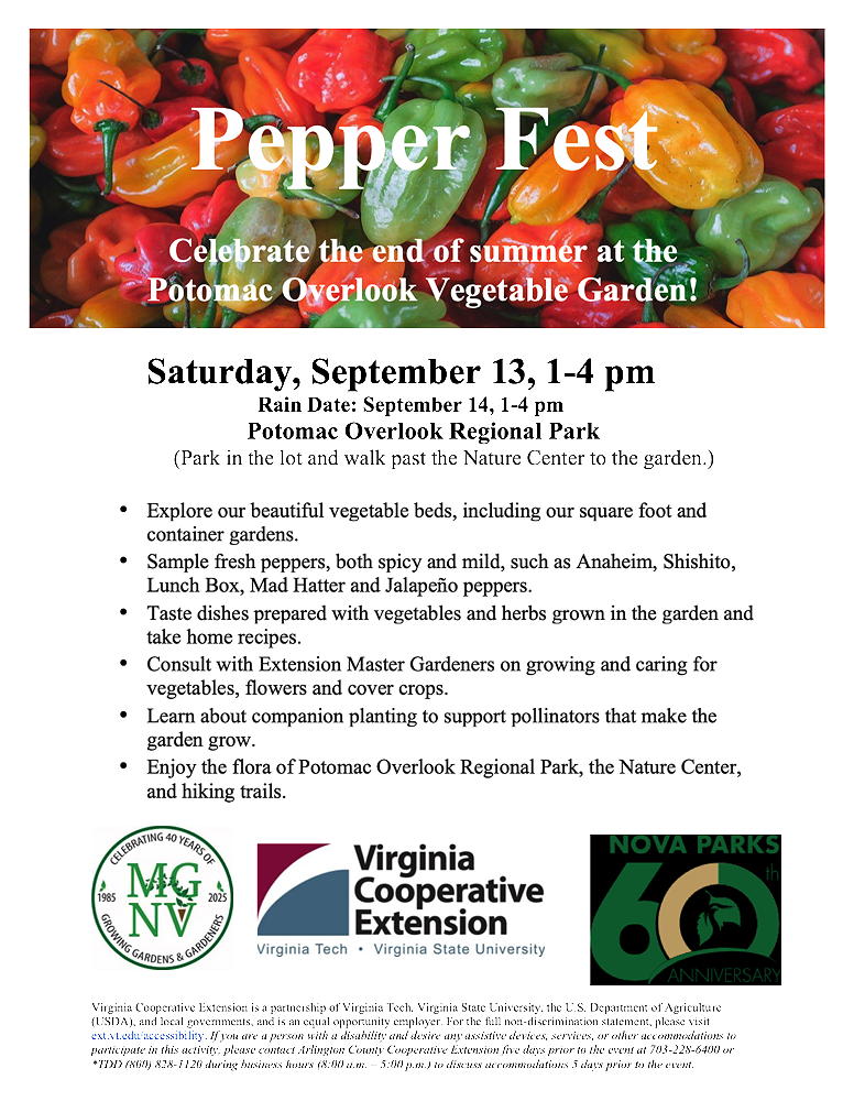 September 13, 2025 1:00 - 4:00 p.m.

Organic Vegetable Garden @ Potomac Overlook Regional Park

2845 N. Marcey Road
Arlington, VA 22207 United States

(Park in the lot and walk past the Nature Center to the garden.)

Explore the beautiful pepper beds, filled with mild to hot varieties.

Sample fresh peppers: Anaheim, Shishito, Lunch Box, Mad Hatter, Jalapeño, and many more.

Taste dishes prepared with peppers grown in our garden.

Consult with Extension Master Gardeners on growing and caring for peppers, vegetables, and cover crops.

See our new vegetable beds, including our edible and square foot gardens.

Enjoy the flora of Potomac Overlook Regional Park.