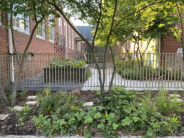 The garden provides habitat for wildlife.