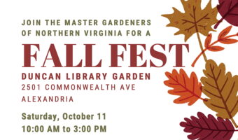 MGNV Fall Fest 2025