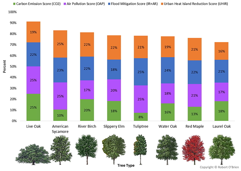 Chart showing carbon sequestration of super trees