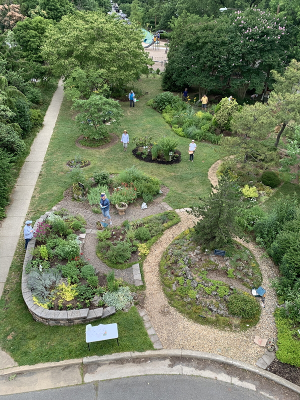 Bird's eye view of the lovely Simpson Gardens