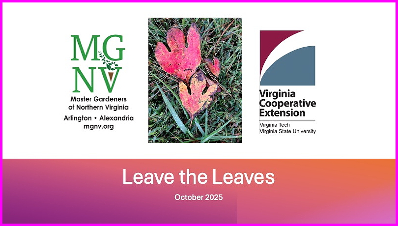 Image featuring the logos of Master Gardeners of Northern Virginia and Virginia Cooperative Extension, with a colorful leaf in the center, captioned 'Leave the Leaves, October 2025'.