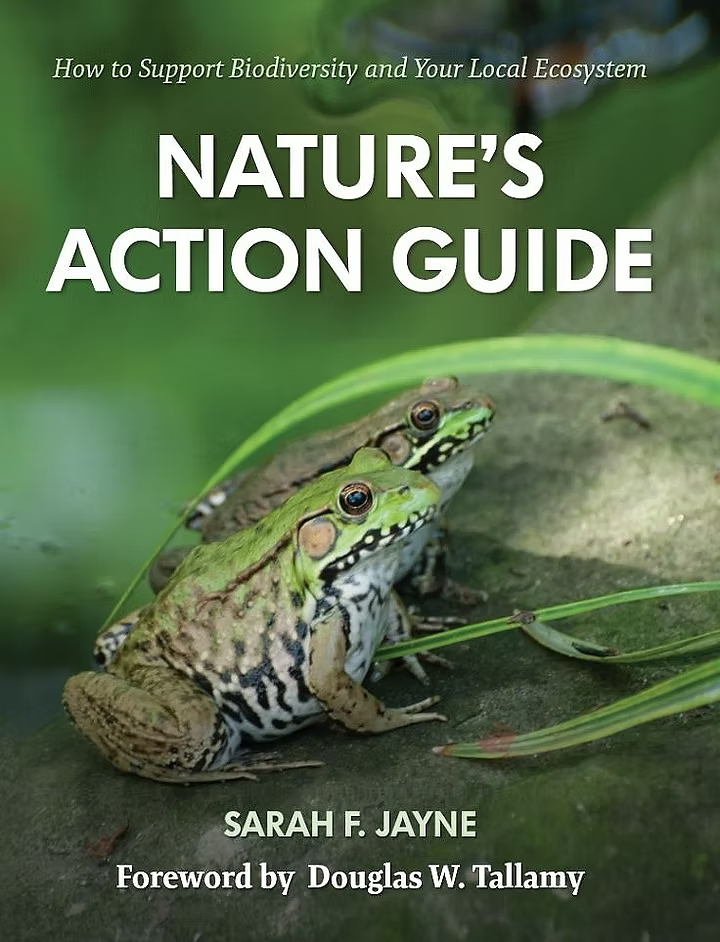 Cover of the book 'Nature's Action Guide: How to Support Biodiversity and Your Local Ecosystem' featuring two frogs on a rock surrounded by greenery.