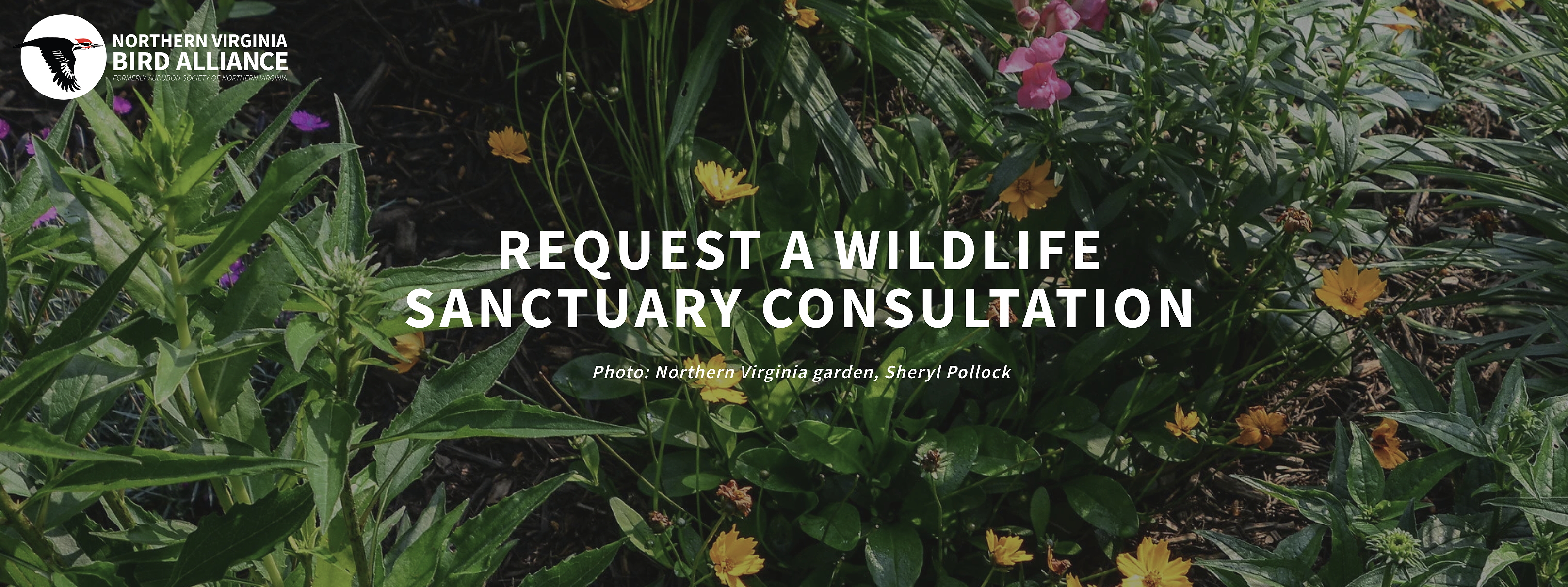 A garden scene featuring various flowering plants and greenery with a text overlay promoting a wildlife sanctuary consultation.