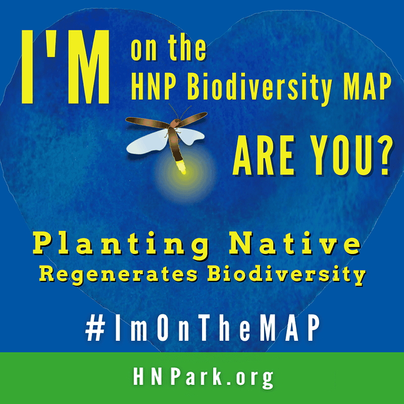 A promotional graphic encouraging people to join the HNP Biodiversity Map, featuring a glowing firefly and the message 'Planting Native Regenerates Biodiversity.'