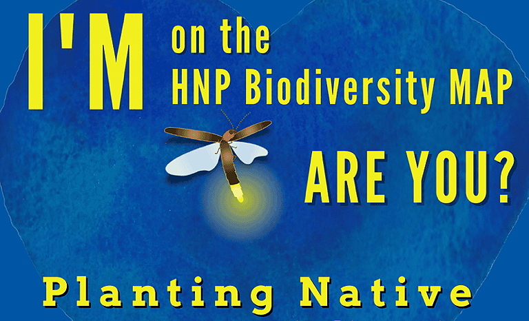 A graphic promoting participation in the Homegrown National Park Biodiversity Map, featuring a glowing firefly and the text 'I'M on the HNP Biodiversity MAP ARE YOU? Planting Native.'