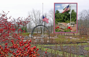 Bon Air Memorial Rose Garden in Arlington, Virginia flies the Red, White, and Blue every day, but when the roses are not abloom (inset July 4, 2018), then the drupes of Ilex verticillata color the Garden’s border red. © 2019 Mary Free