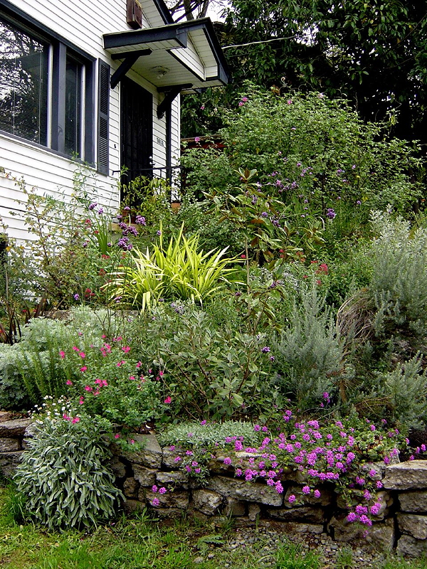 A lush garden with various flowers and plants in front of a house, featuring a stone wall and greenery.