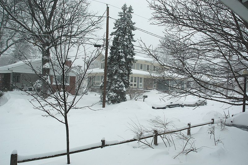 A winter scene featuring snow-covered houses and trees, with thick snow accumulating on the ground and falling from the sky, creating a blurred and foggy atmosphere.
