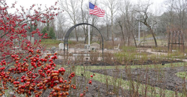 Bon Air Memorial Rose Garden in Arlington, Virginia flies the Red, White, and Blue every day, but when the roses are not abloom, then the drupes of Ilex verticillata color the Garden’s border red. © Mary Free