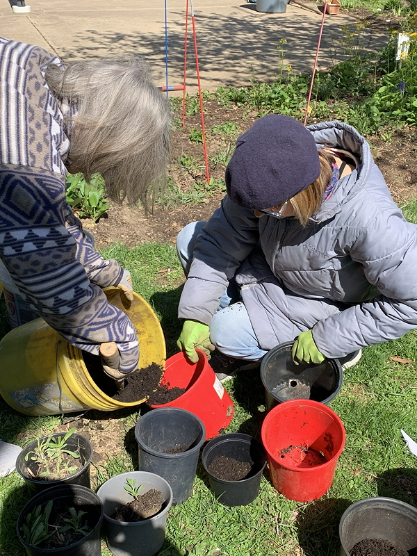 Two women planting in pots outdoors, one pouring soil from a yellow bucket into a red pot while the other fills a black pot with soil, surrounded by multiple empty pots on the ground.