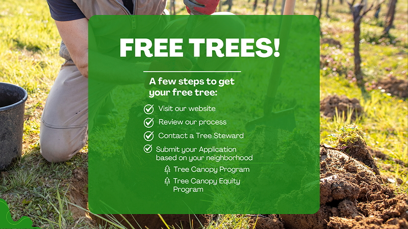 A person planting a tree in a field, with a focus on the tree planting process. Text overlay details steps to obtain free trees, including visiting the website, reviewing the process, contacting a Tree Steward, and submitting an application.