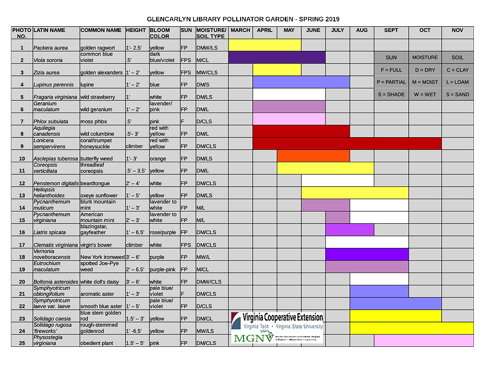 A table displaying information about various plants in the Glencarlyn Library Pollinator Garden for spring 2019, including Latin names, common names, heights, bloom colors, moisture needs, soil types, and months of blooming.