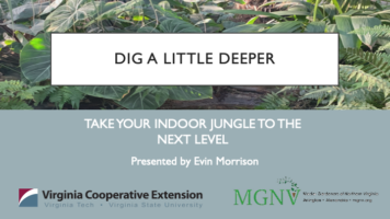 Dig a Little Deeper Presentation intro slide