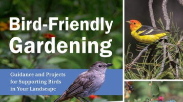 Cover of the book 'Bird-Friendly Gardening' featuring images of various birds and colorful flowers, with the subtitle 'Guidance and Projects for Supporting Birds in Your Landscape'.