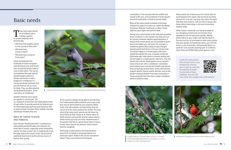 A juvenile Tufted Titmouse perched among the branches of a tree, showcasing its feathers and features.