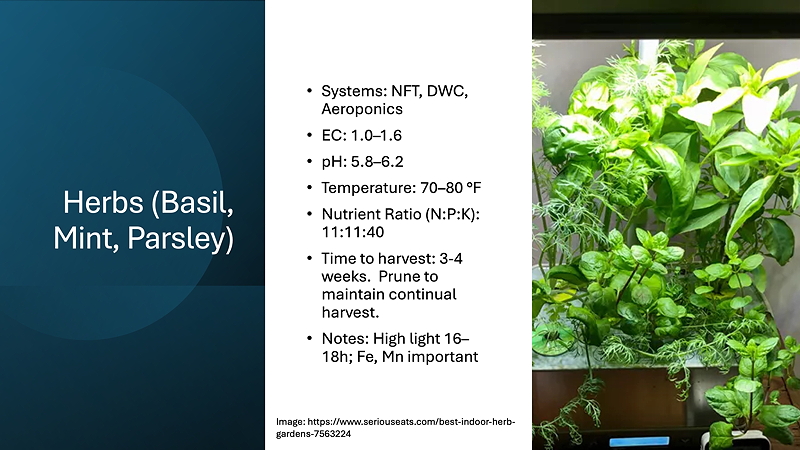 Image of a presentation slide about growing herbs (Basil, Mint, Parsley) indoors with details on systems, nutrient requirements, and care tips.