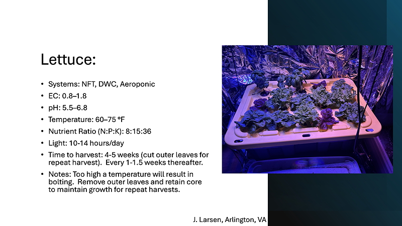 Informational graphic about growing lettuce with details on systems, nutrient ratios, and harvesting instructions.