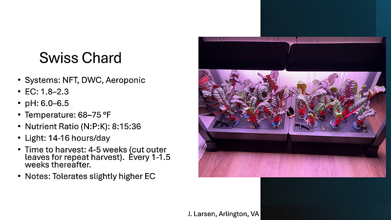 A presentation slide on Swiss Chard cultivation, featuring key growing conditions and nutrient requirements. The slide includes images of Swiss Chard plants growing in hydroponic systems.