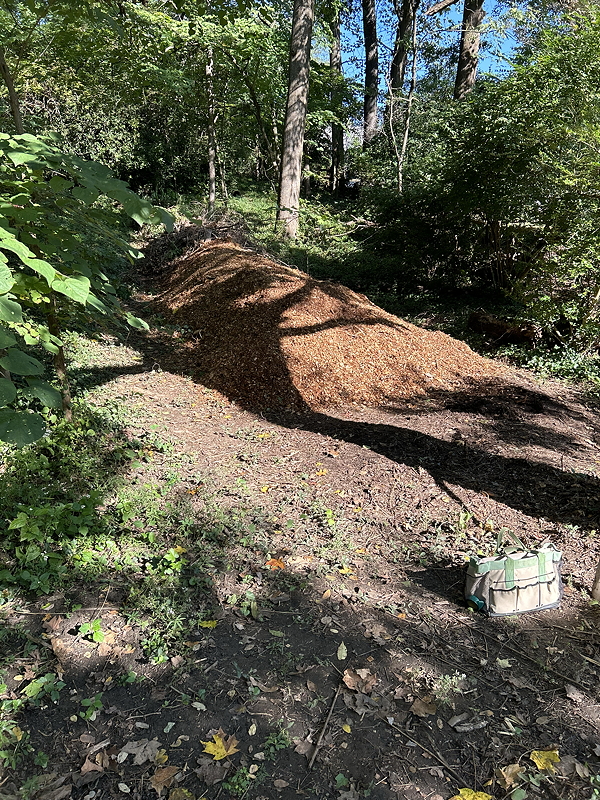 A pile of wood chips in a wooded area, with trees and green foliage in the background, and a gardening bag on the ground nearby.