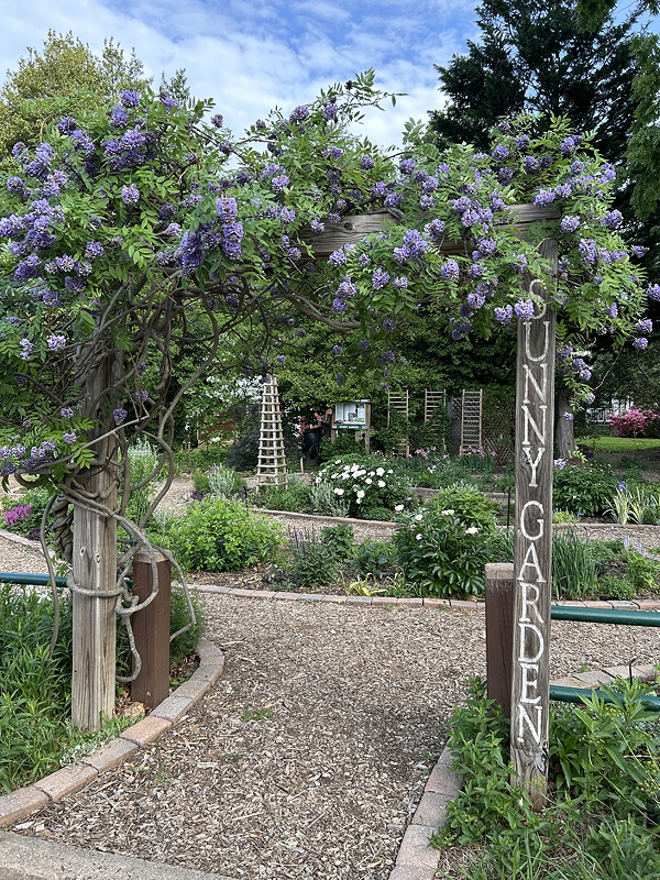 A wooden arch covered with purple flowering wisteria vines marks the entrance to a sunny garden, featuring a sign that reads 'Sunny Garden.' The garden path is surrounded by various colorful plants and flowers.