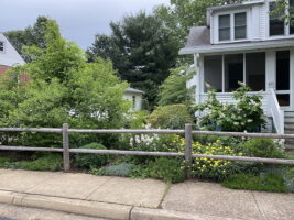View of a residential house with a porch, surrounded by a flourishing garden with various plants and flowers, and a wooden fence along the sidewalk.