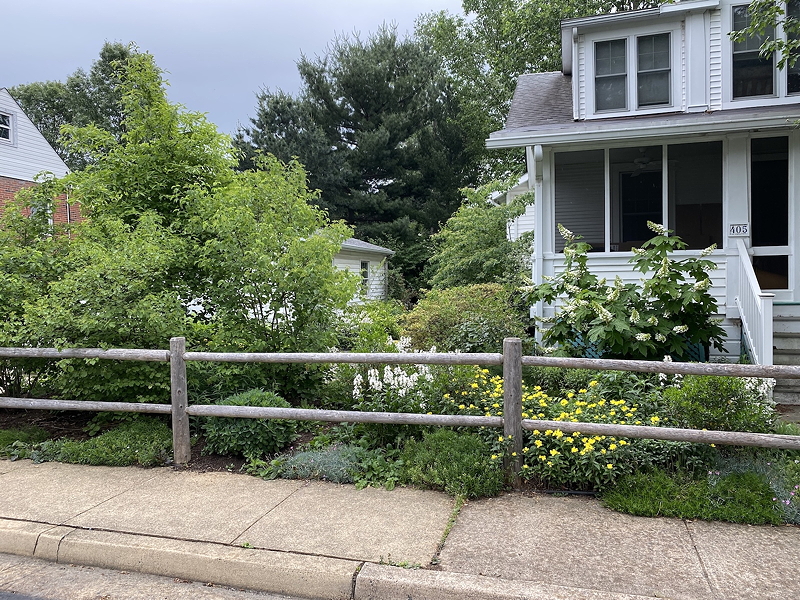 View of a residential house with a porch, surrounded by a flourishing garden with various plants and flowers, and a wooden fence along the sidewalk.