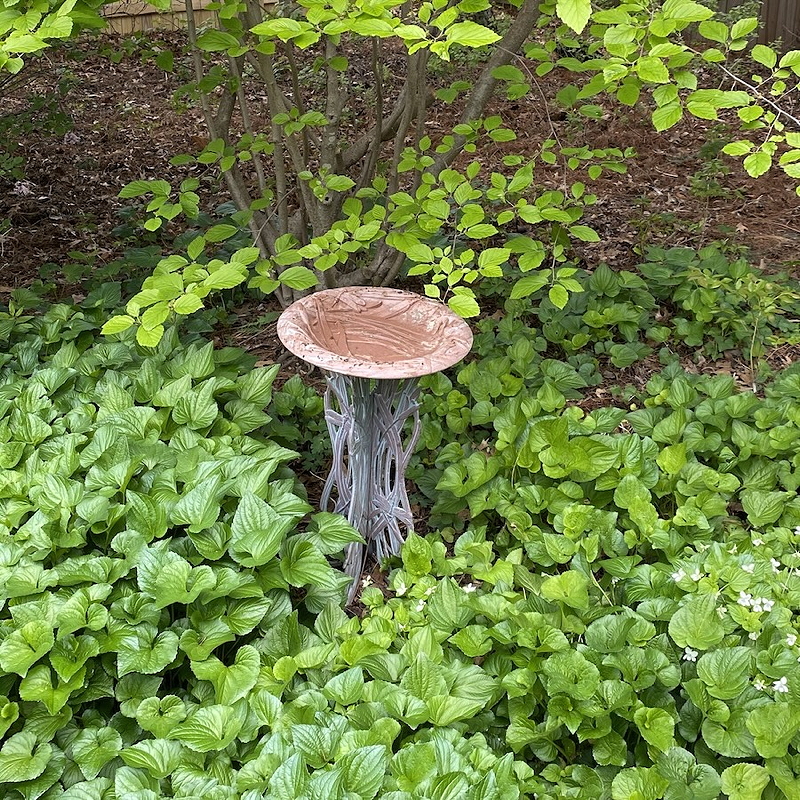 A birdbath sitting on a decorative stand, surrounded by lush green ground cover and foliage in a garden.