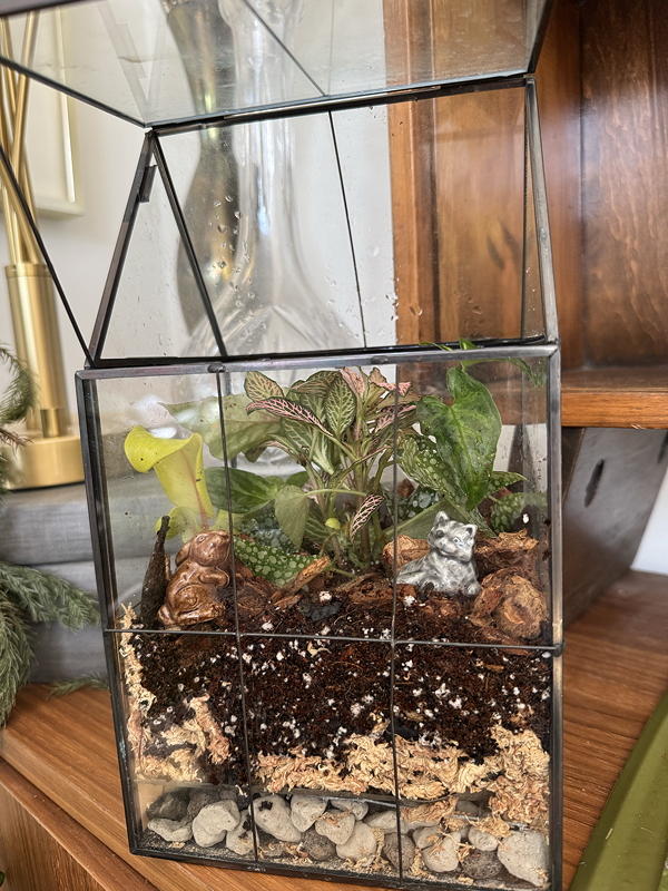 House shaped glass terrarium