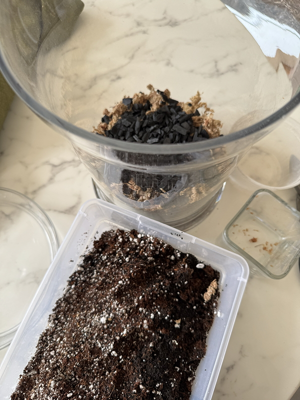 glass container with plastic box of soil