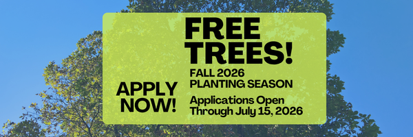 Free trees banner