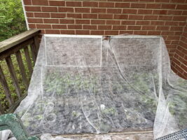 A balcony garden covered with protective fabric, showcasing rows of green plants and small containers.