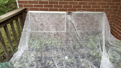 A balcony garden covered with protective fabric, showcasing rows of green plants and small containers.