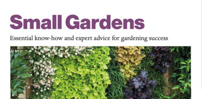 Portion of cover of the book 'Small Gardens' by DK Grow featuring a vibrant vertical garden with various plants and textures.