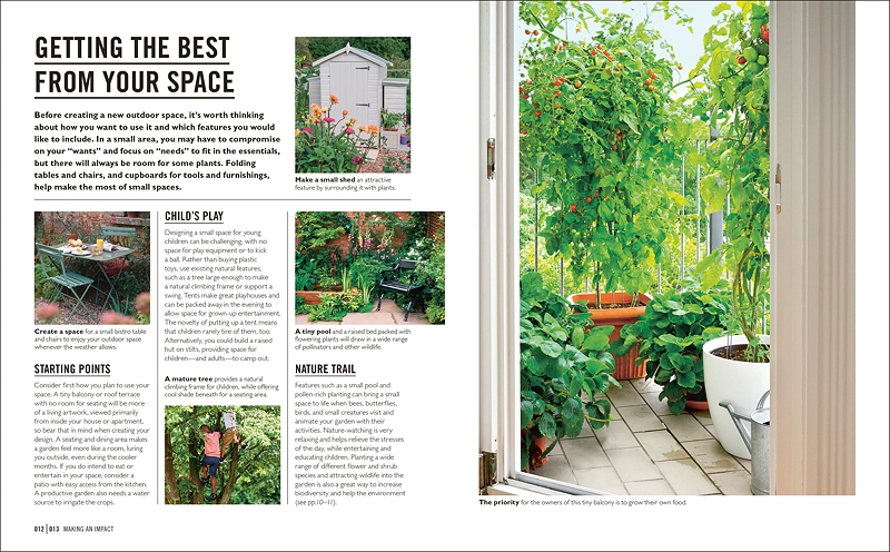 An outdoor space featuring a garden with various plants, a small green shed, and an inviting seating area. The view showcases plants surrounding the entrance with a focus on maximizing space for gardening and relaxation.