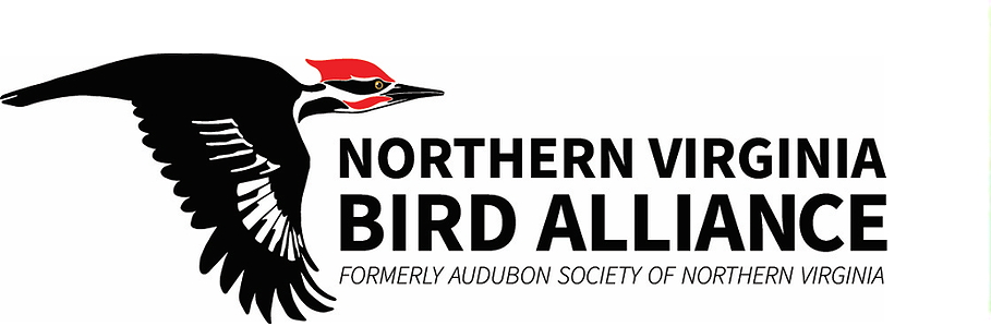 Logo of Northern Virginia Bird Alliance featuring a woodpecker in black and red, with the text 'NORTHERN VIRGINIA BIRD ALLIANCE' and 'FORMERLY AUDUBON SOCIETY OF NORTHERN VIRGINIA' below.